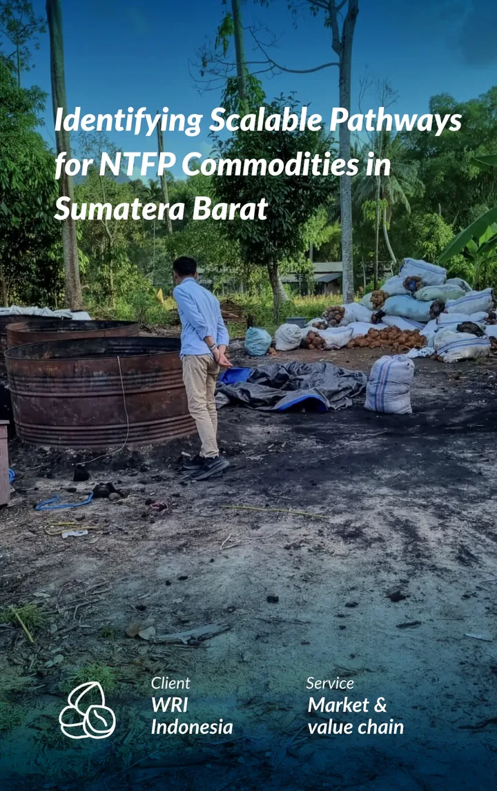 Identifying Scalable Pathways for NTFP Commodities in Sumatera Barat. Client: WRI Indonesia. Service: Market & value chain.